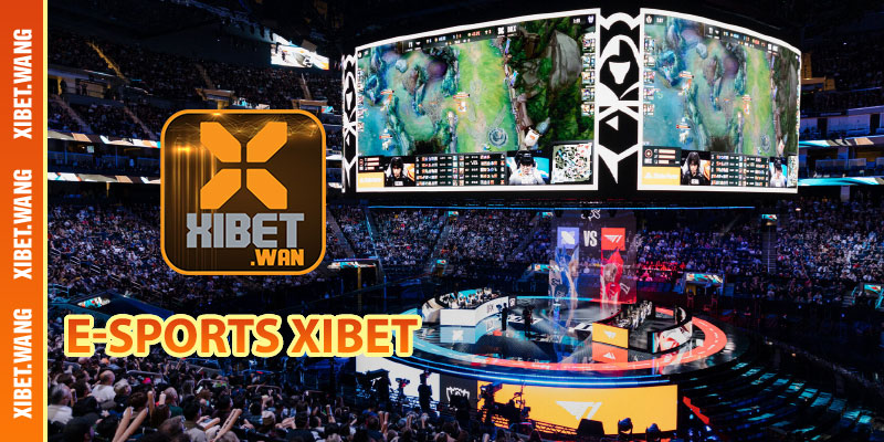 E-Sports XIBET - Sảnh cược thể thao điện tử hàng đầu